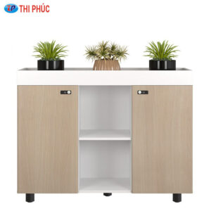Tủ tài liệu NTV NTV1000-3T2