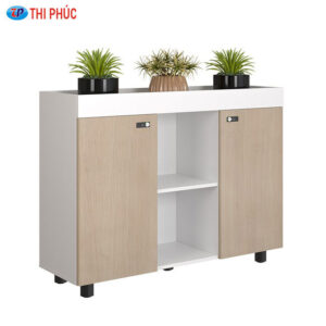 Tủ tài liệu NTV NTV1000-3T2