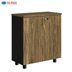Tủ tài liệu NTV880D